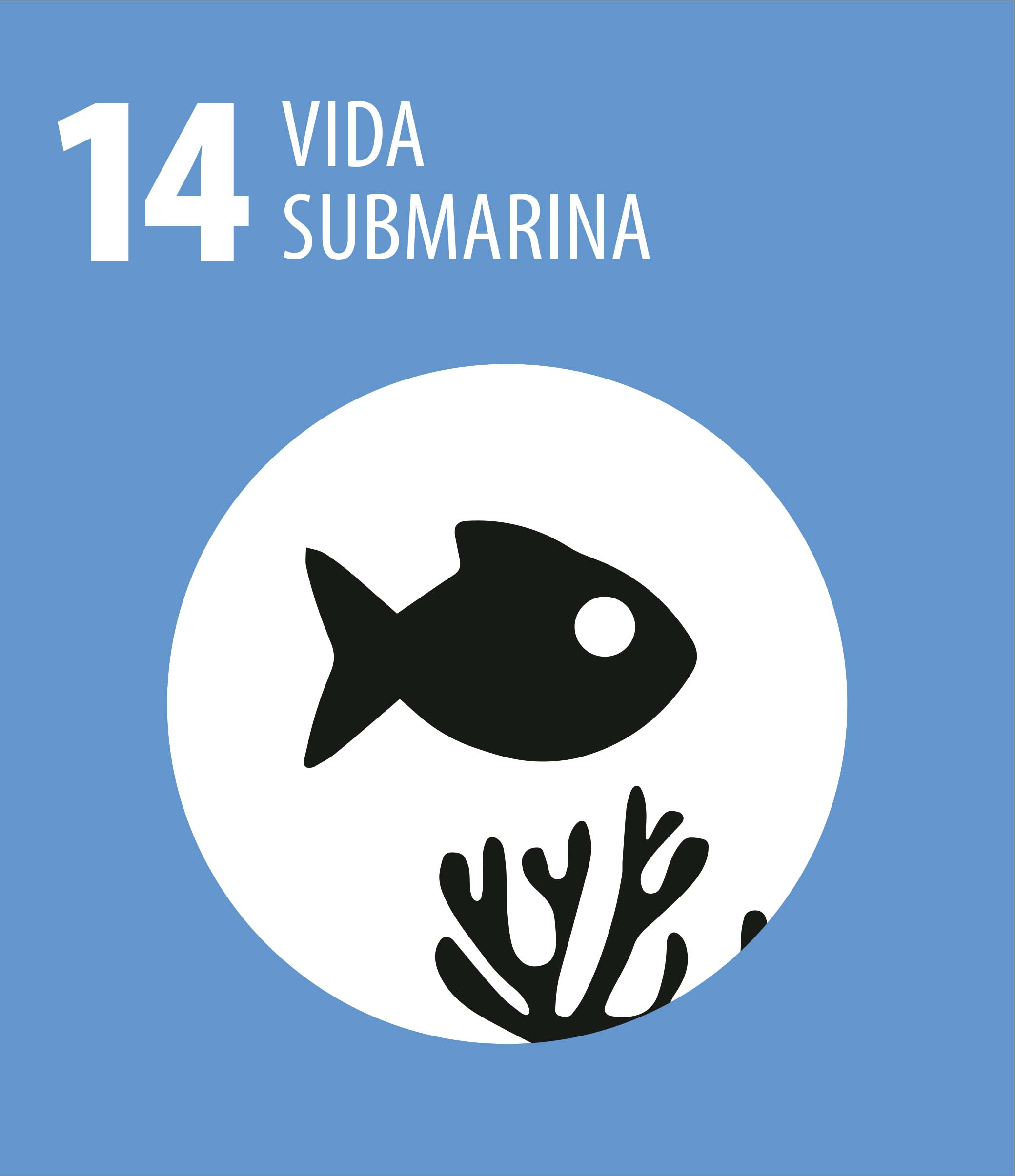 ODS 14 Vida submarina